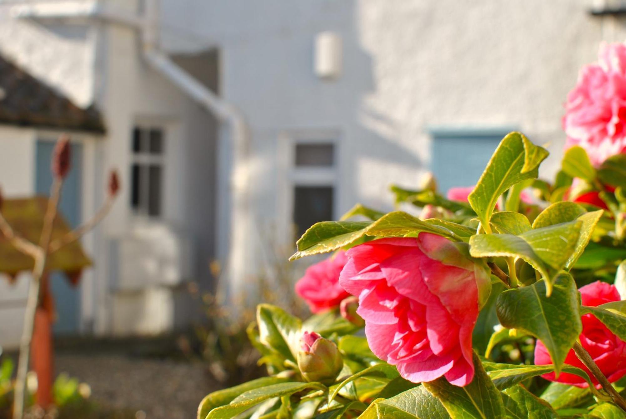 The Old Surgery Crail- Welcoming Apartment